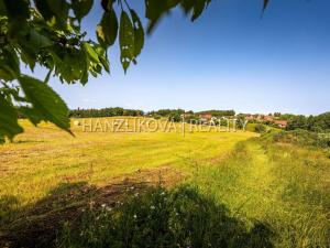 Prodej pozemku pro bydlení, Dubičné, 4385 m2