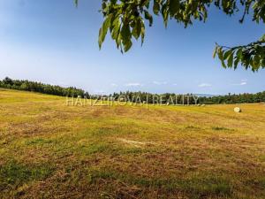Prodej pozemku pro bydlení, Dubičné, 4385 m2