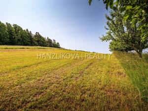 Prodej pozemku pro bydlení, Dubičné, 4385 m2