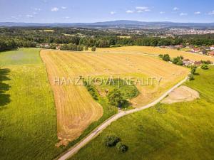 Prodej pozemku pro bydlení, Dubičné, 4385 m2