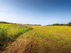 Prodej pozemku pro bydlení, Dubičné, 4385 m2