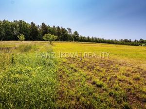 Prodej pozemku pro bydlení, Dubičné, 4385 m2