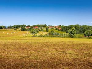 Prodej pozemku pro bydlení, Dubičné, 4385 m2