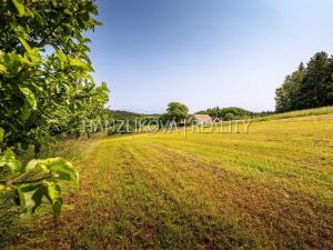 Prodej pozemku pro bydlení, Dubičné, 4385 m2