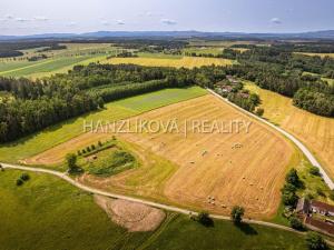 Prodej pozemku pro bydlení, Dubičné, 4385 m2