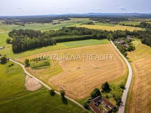 Prodej pozemku pro bydlení, Dubičné, 4385 m2