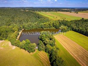 Prodej pozemku pro bydlení, Dubičné, 4385 m2