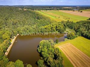 Prodej pozemku pro bydlení, Dubičné, 4385 m2