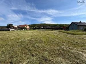 Prodej pozemku pro bydlení, Světec - Štrbice, 2602 m2
