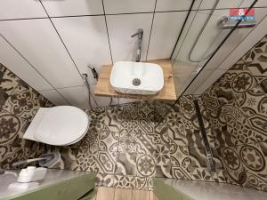 Pronájem bytu 1+kk, Jindřichův Hradec, Pod Hradem, 16 m2