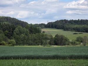Prodej lesa, Kozlovice, 10280 m2