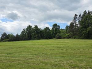 Prodej lesa, Kozlovice, 10280 m2