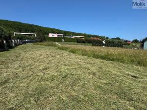 Prodej pozemku pro bydlení, Světec - Štrbice, 2602 m2