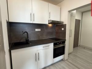 Pronájem bytu 1+1, Opava, Skřivánčí, 34 m2
