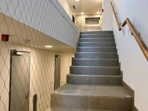 Pronájem bytu 2+kk, České Budějovice - České Budějovice 2, U Branišovského lesa, 175 m2