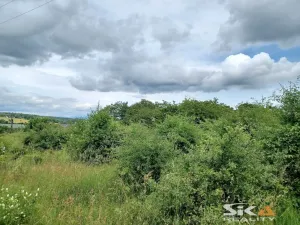 Prodej zahrady, Výškov - Počerady, 2320 m2