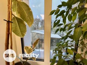 Pronájem bytu 1+kk, Opava, Pekařská, 24 m2