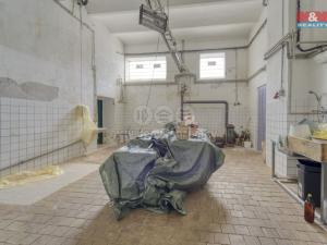 Prodej ubytování, Starý Kolín, Za poštou, 3398 m2