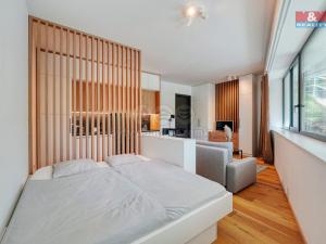 Prodej bytu 1+kk, Praha, Mošnova, 39 m2