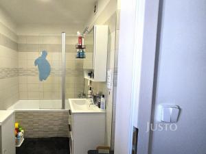 Pronájem bytu 2+1, Písek - Budějovické Předměstí, třída Přátelství, 60 m2