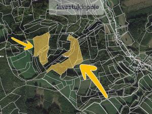 Prodej lesa, Hovězí, 32951 m2