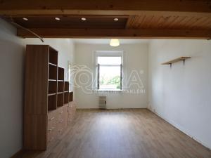 Pronájem bytu 1+kk, Praha - Žižkov, Hartigova, 25 m2