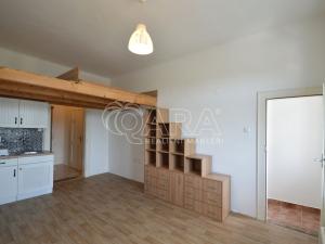 Pronájem bytu 1+kk, Praha - Žižkov, Hartigova, 25 m2