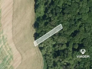 Prodej lesa, Uherský Brod, 32 m2