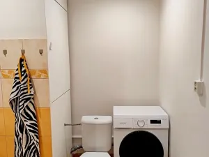 Prodej bytu 2+1, Přerov, Kozlovská, 46 m2