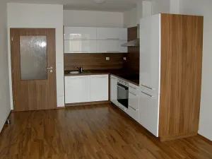 Pronájem bytu 2+kk, Plzeň, Těšínská, 53 m2