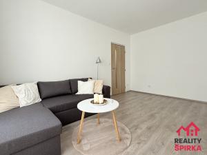 Pronájem bytu 1+1, Moravská Třebová - Předměstí, Holandská, 35 m2