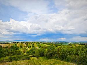 Prodej chaty, Blučina, 20 m2