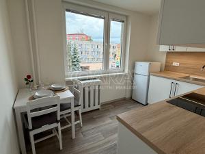 Pronájem bytu 1+1, Nový Jičín, Dvořákova, 41 m2