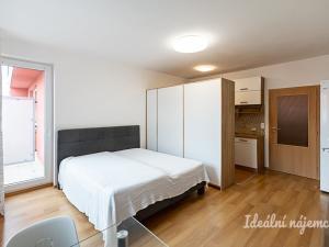 Pronájem bytu 1+kk, Praha, Farkašova, 32 m2