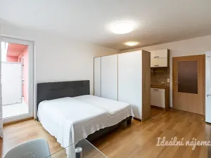Pronájem bytu 1+kk, Praha, Farkašova, 32 m2