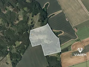 Prodej podílu lesa, Palonín, 31838 m2
