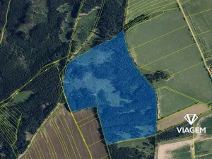 Prodej podílu lesa, Palonín, 31838 m2
