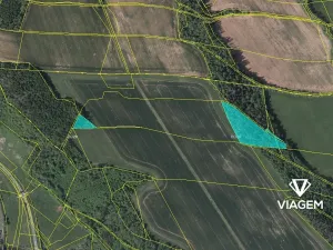 Prodej podílu lesa, Prosečné, 3067 m2