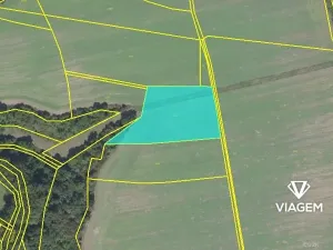 Prodej podílu pole, Chrášťany, 2501 m2