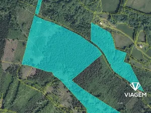Prodej podílu lesa, Smilovice, 2789 m2