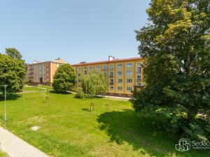 Prodej bytu 3+1, Ostrov, S. K. Neumanna, 68 m2
