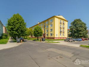 Prodej bytu 3+1, Ostrov, S. K. Neumanna, 68 m2