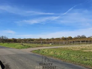 Prodej pozemku pro bydlení, Starý Poddvorov, 800 m2