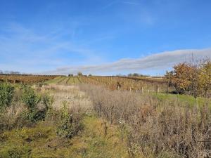 Prodej pozemku pro bydlení, Starý Poddvorov, 814 m2