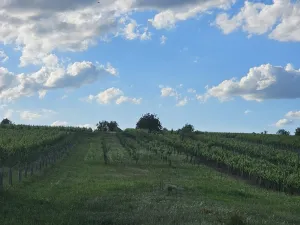 Prodej pozemku pro bydlení, Starý Poddvorov, 814 m2