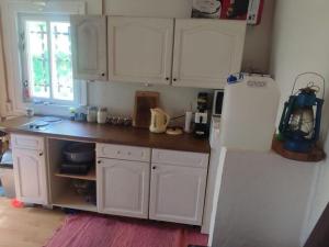 Prodej chaty, Ústí nad Labem - Brná, Pod Ostrým, 35 m2