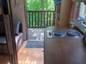 Prodej chaty, Ústí nad Labem - Brná, Pod Ostrým, 35 m2