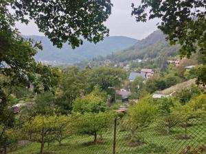 Prodej chaty, Ústí nad Labem - Brná, Pod Ostrým, 35 m2