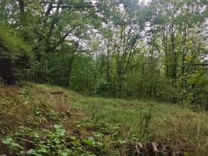Prodej chaty, Ústí nad Labem - Brná, Pod Ostrým, 35 m2