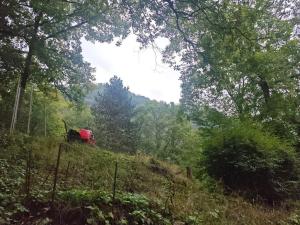 Prodej chaty, Ústí nad Labem - Brná, Pod Ostrým, 35 m2